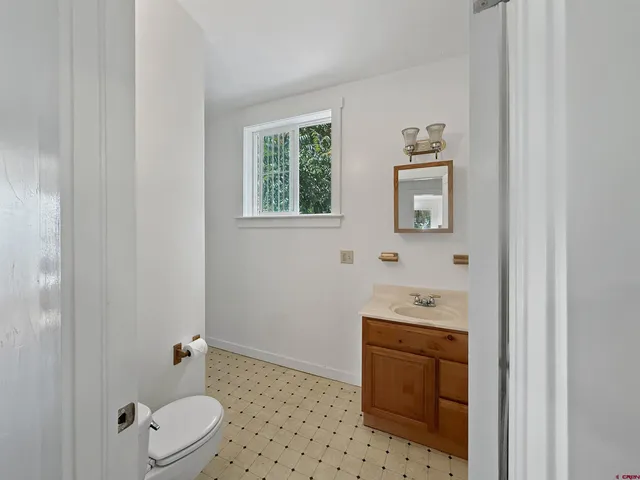 a bathroom with a sink a toilet and a shower