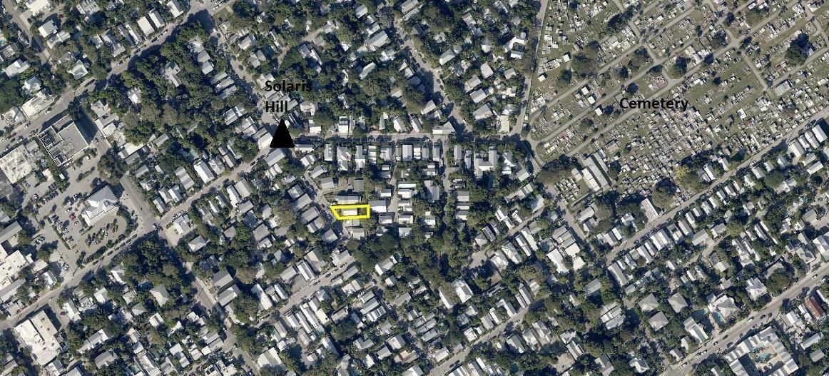 719 Elizabeth Street Key West, FL 33040 - Photo 10 of 15 a picture of tree