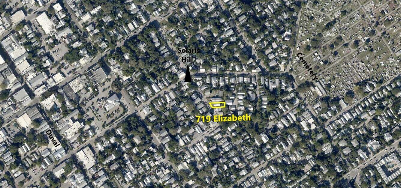 719 Elizabeth Street Key West, FL 33040 - Photo 12 of 15 a view of a trees with a tree