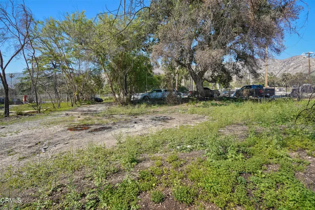 a backyard of a house with lots of green space