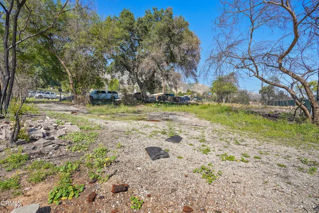 a view of a yard with a tree
