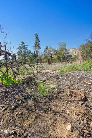 a view of a yard with a tree in the background