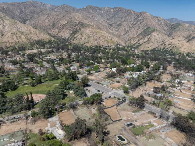 a view of a forest with mountains