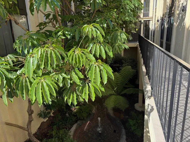 $260,000 | 3796 Alabama Street, Unit A118, San Diego, CA 92104