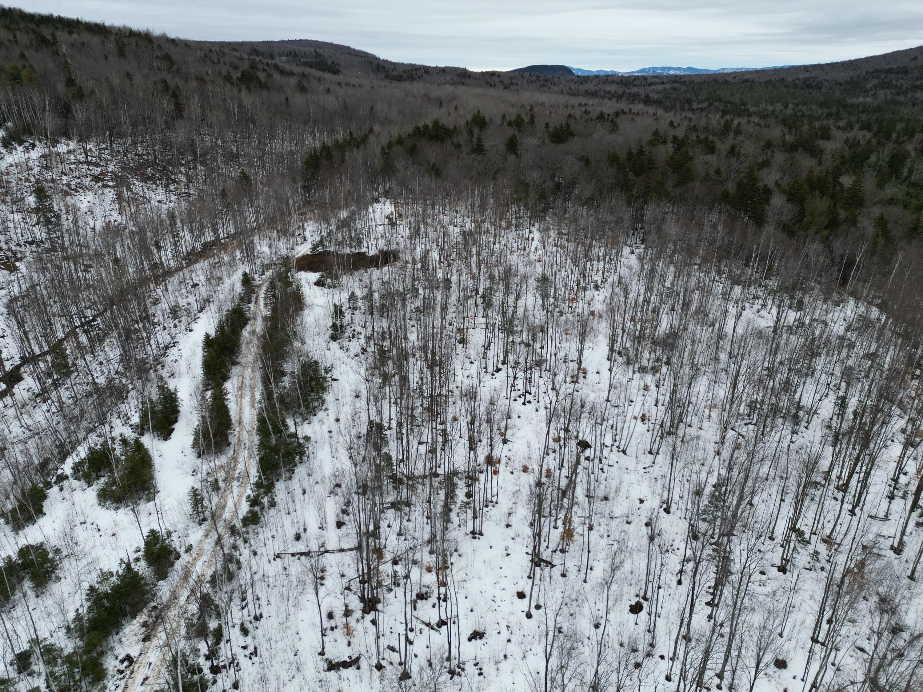 Lot 15 Kelliher Road Newry, ME 04261 - Photo 19 of 22 DJI_0433