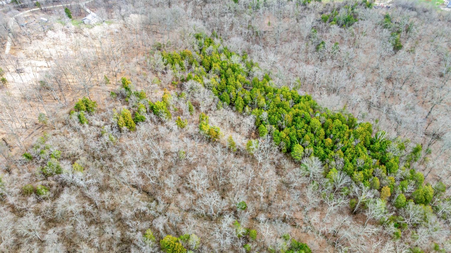 0 Peppertown Road West Harrison, IN 47060 - Photo 11 of 14