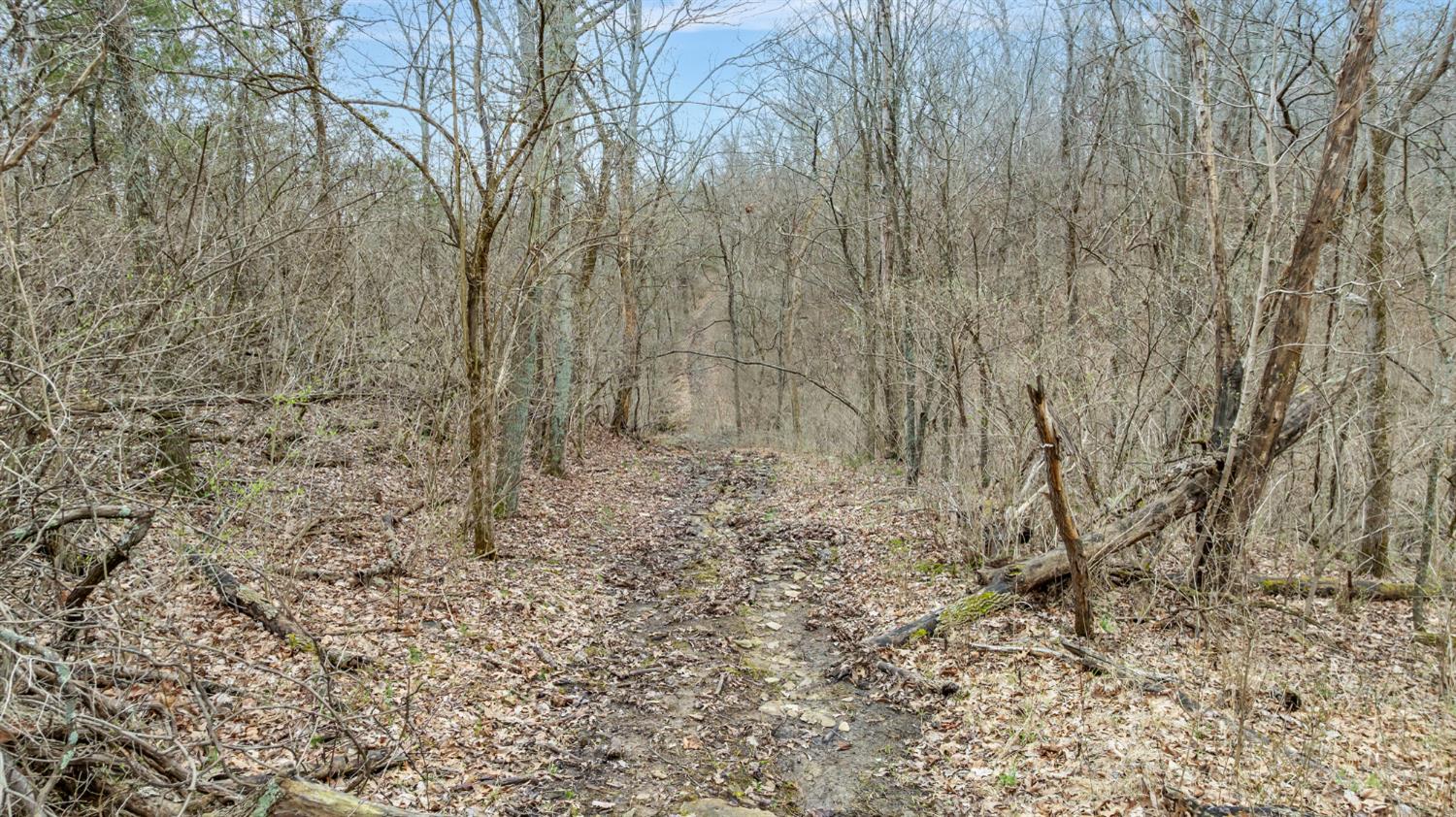 0 Peppertown Road West Harrison, IN 47060 - Photo 5 of 14