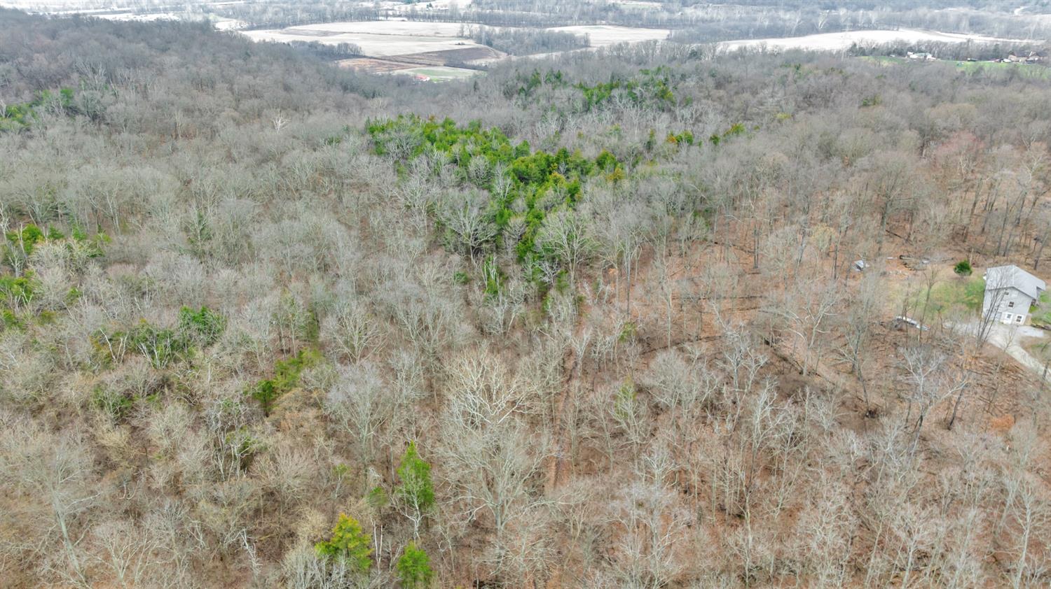 0 Peppertown Road West Harrison, IN 47060 - Photo 8 of 14
