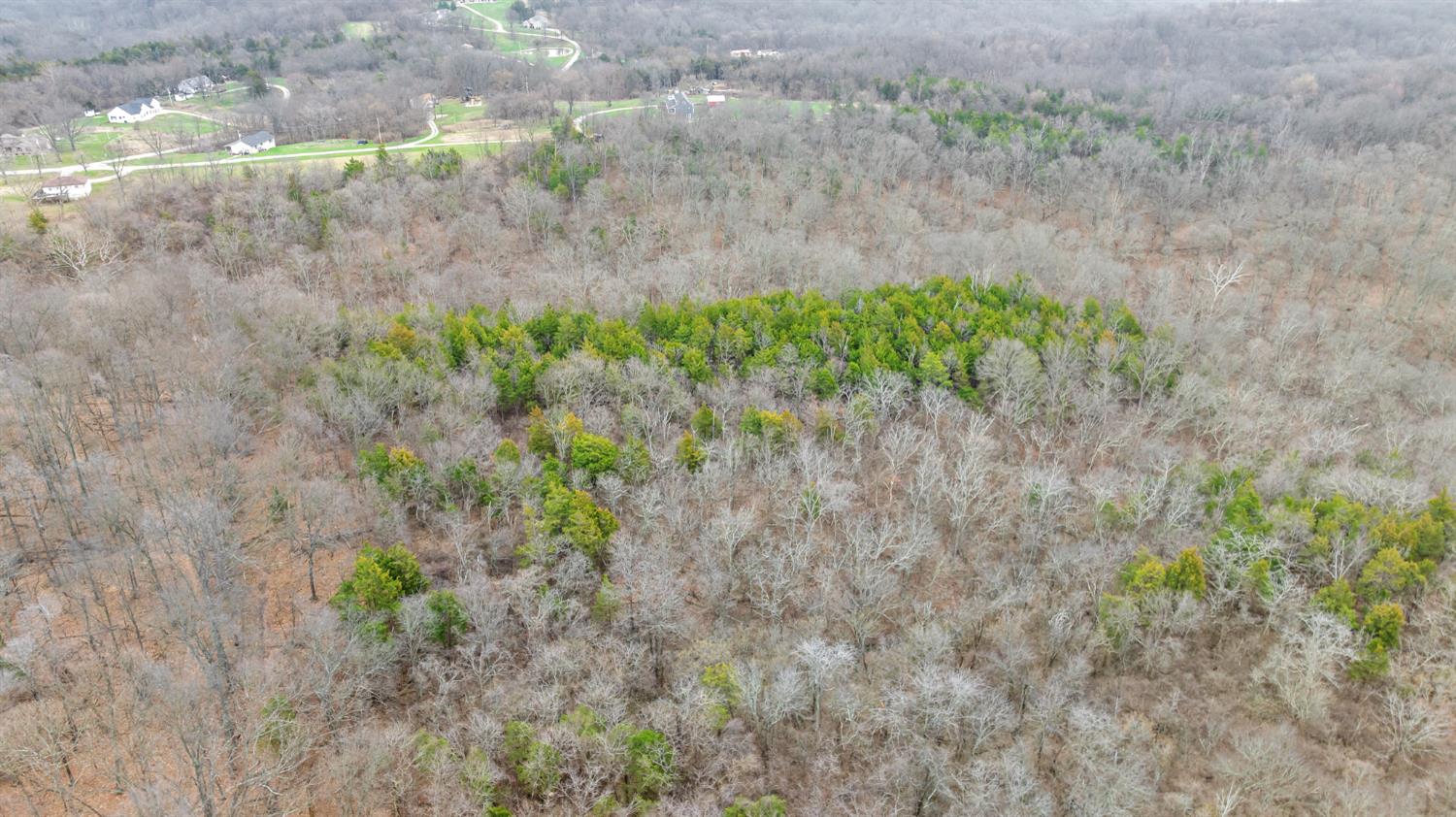 0 Peppertown Road West Harrison, IN 47060 - Photo 10 of 14