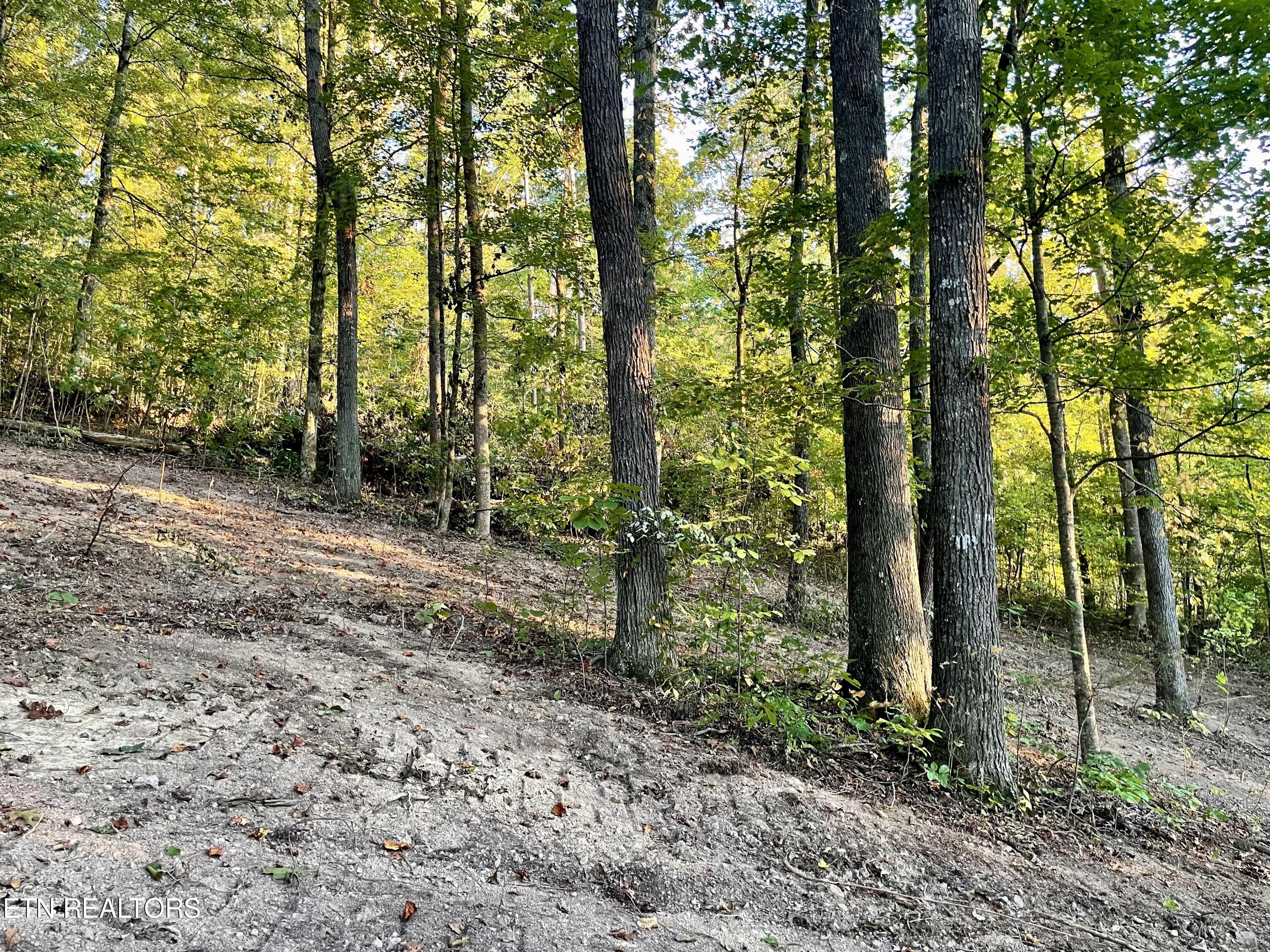 Johnson Valley Road Philadelphia, TN 37846 - Photo 4 of 11 04A2AE45-0EF4-49CB-B438-BE49A410D2D4_1_2