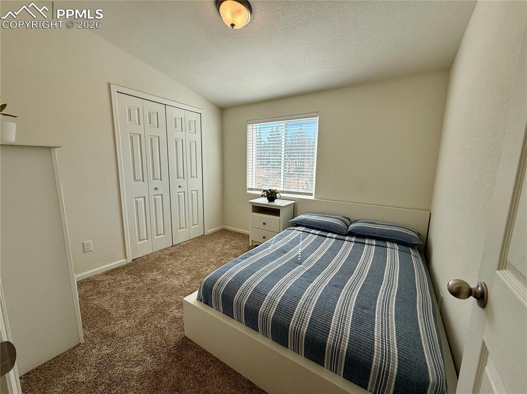 61 Stripling Lane Divide, CO 80814 - Photo 22 of 47 a bedroom with a bed and wooden floor