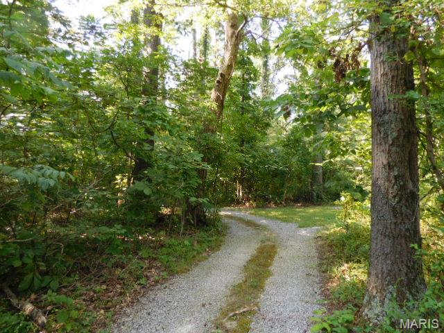 4878 Cj Heck Road Salem, IL 62881 - Photo 6 of 18