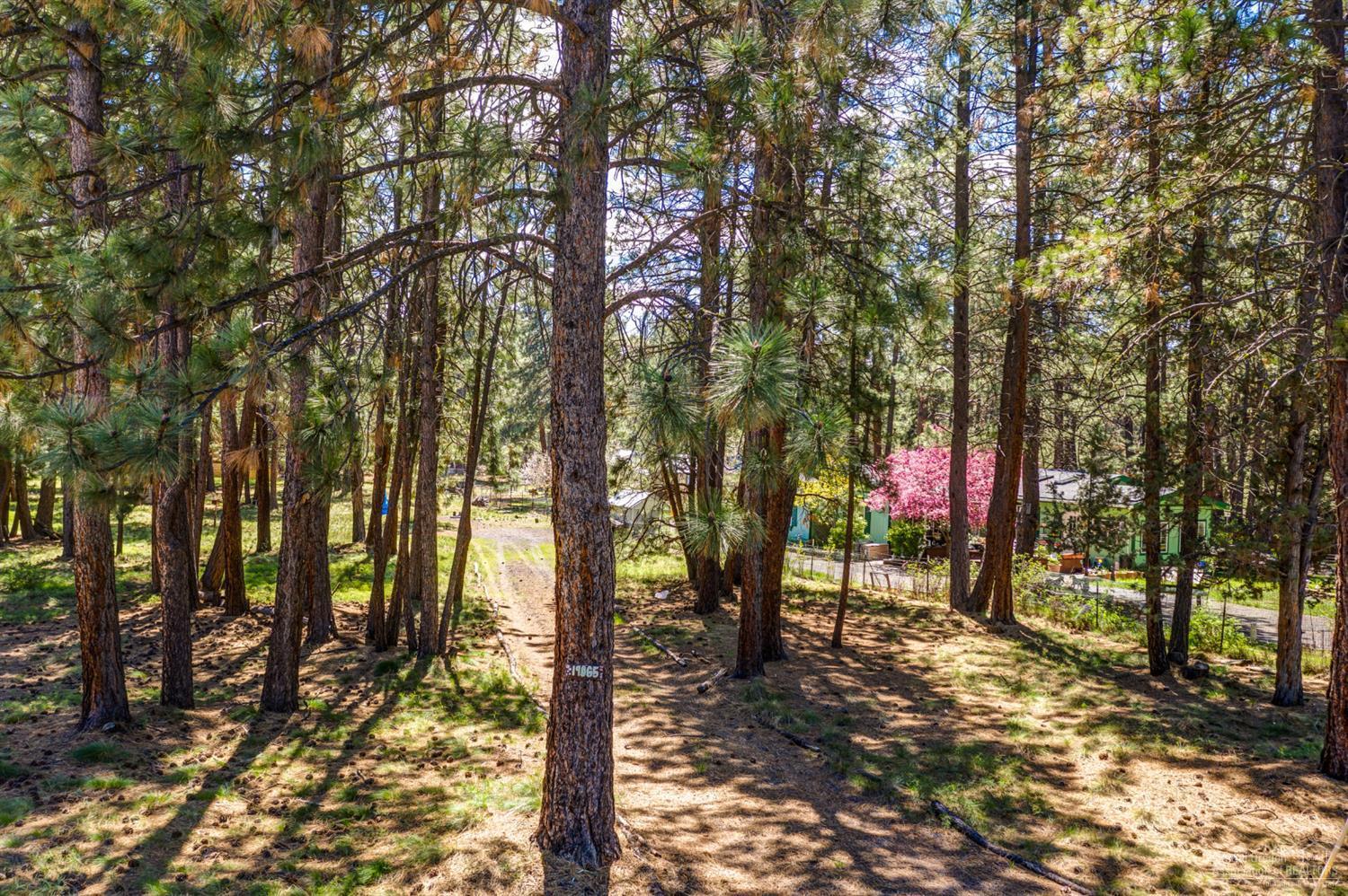 19065 Pumice Butte Road Bend, OR 97702 - Photo 9 of 21 Additional Photo