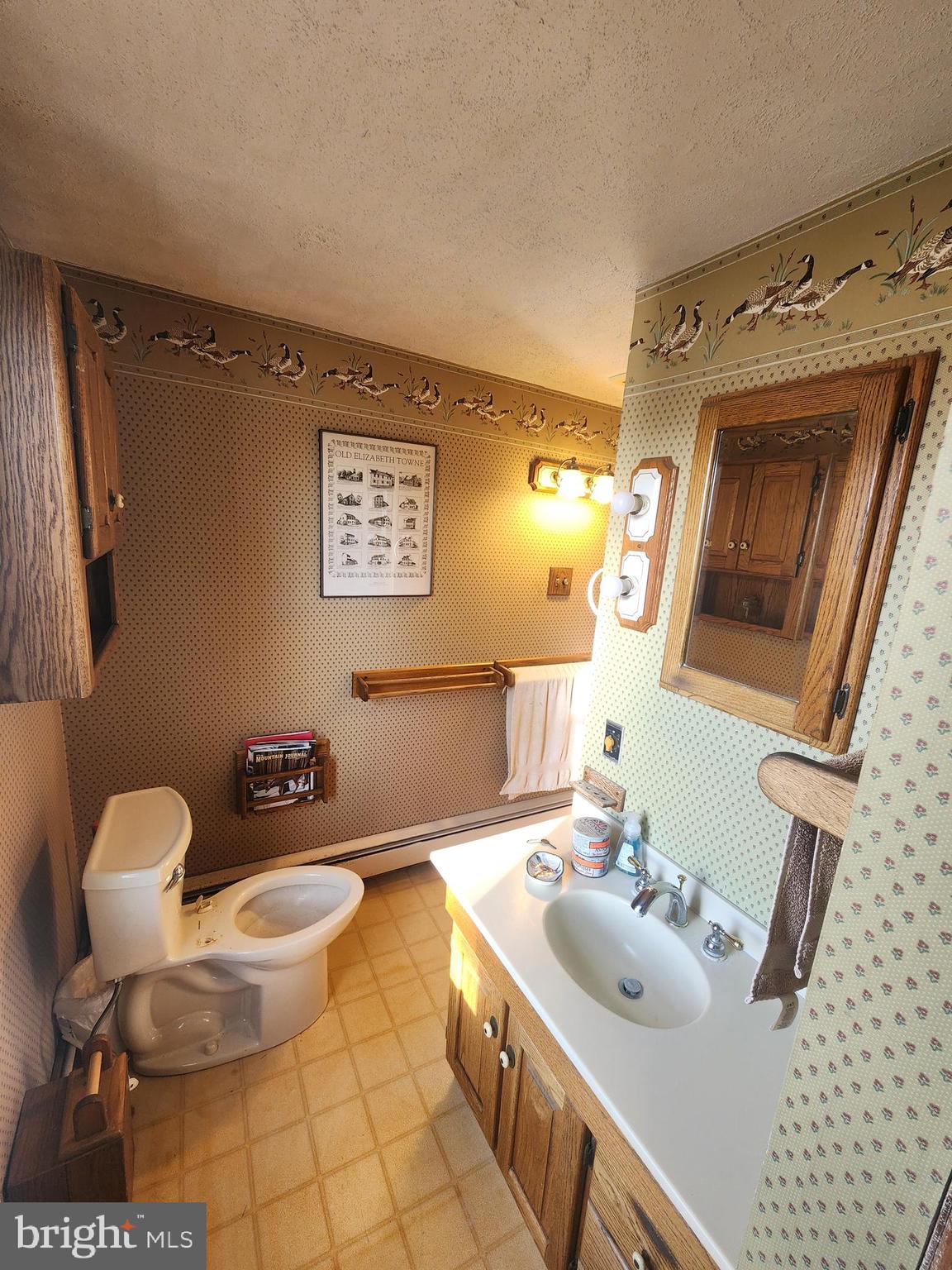 230 South Hertzler Road Elizabethtown, PA 17022 - Photo 38 of 78 a bathroom with a sink a toilet and mirror