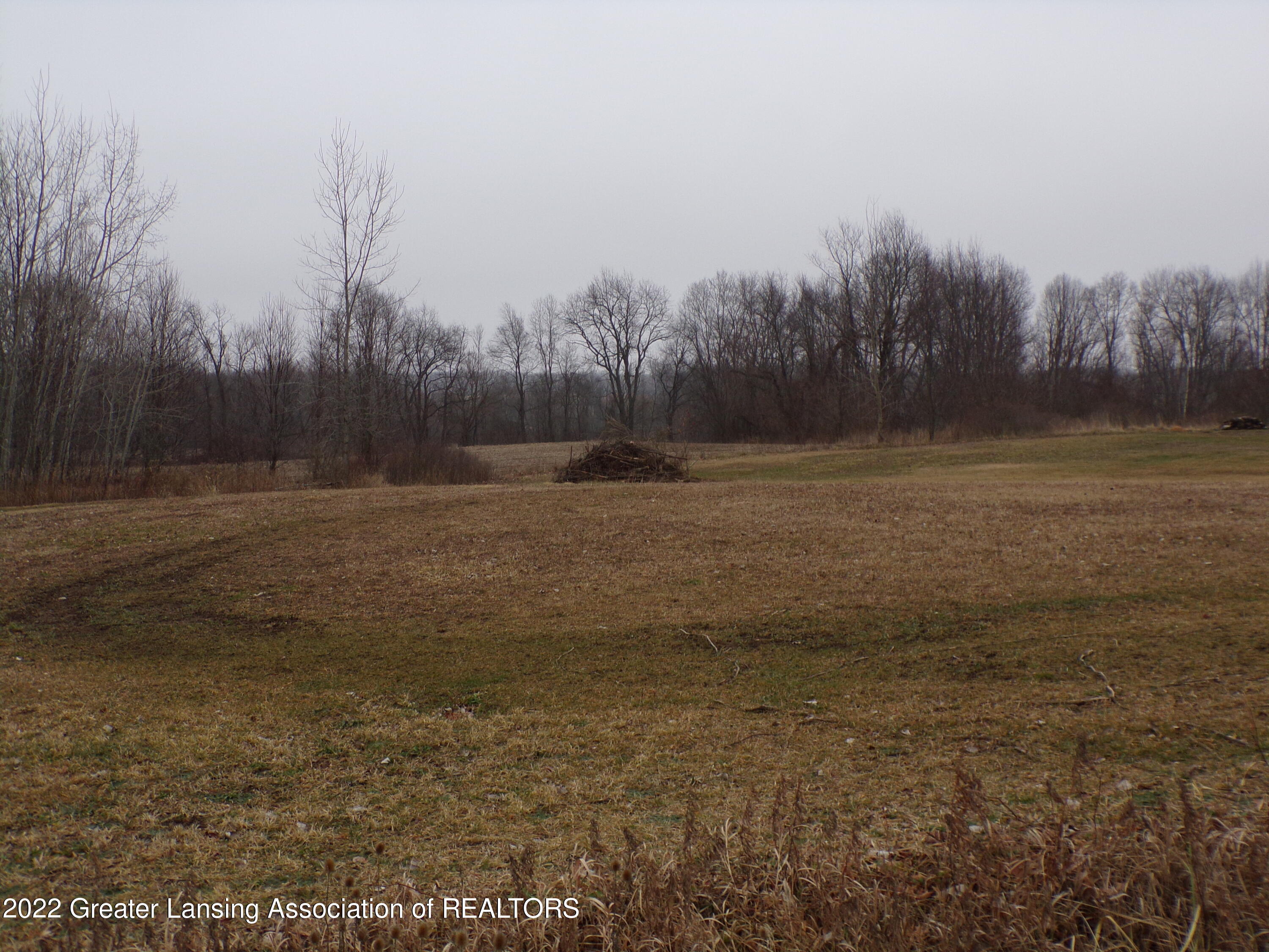 0 South Ainger Road Olivet, MI 49076 - Photo 10 of 15 100_0016