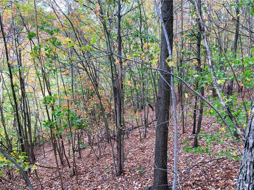 Tinney Road Dennison, OH 44621 - Photo 8 of 27