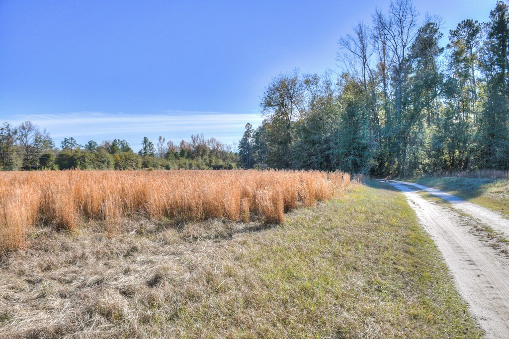 1140 Bennock Mill Road Augusta, GA 30906 - Photo 2 of 31