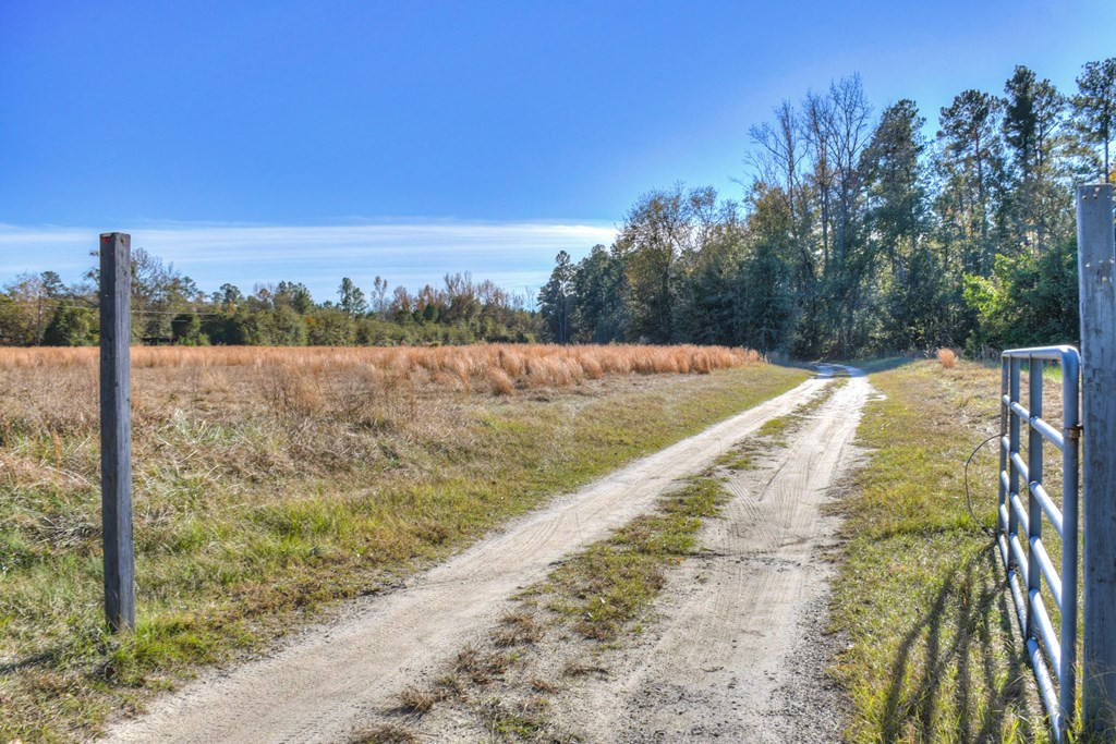 1140 Bennock Mill Road Augusta, GA 30906 - Photo 29 of 31