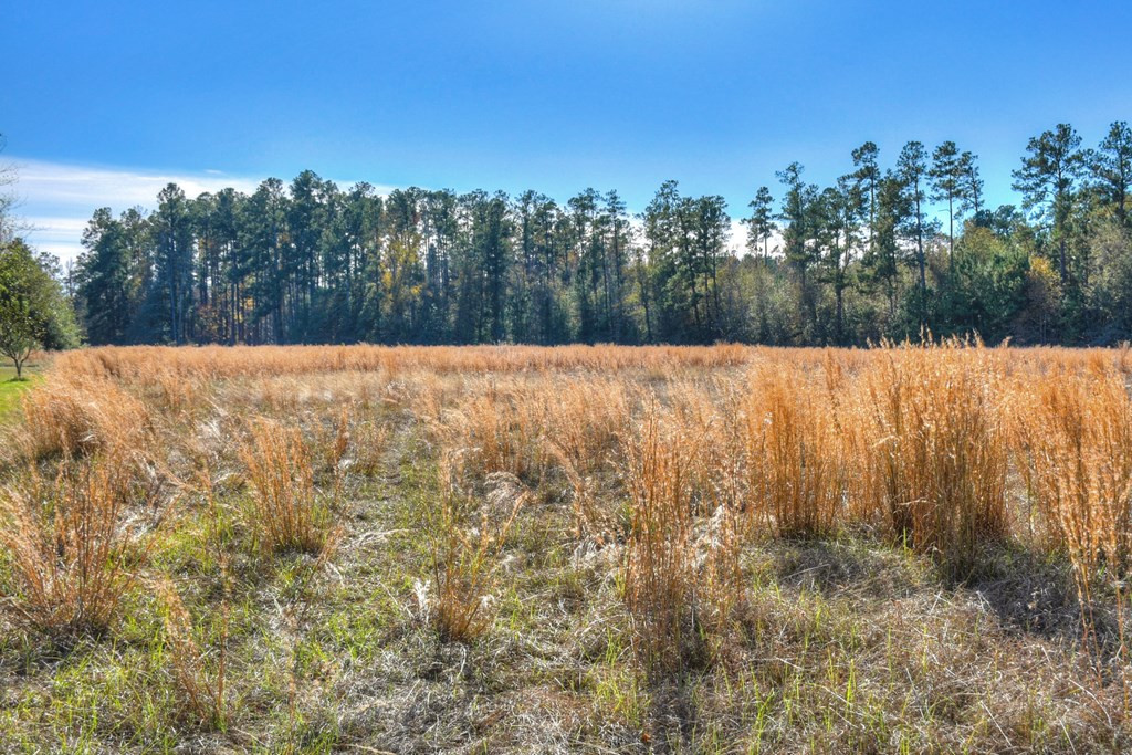1140 Bennock Mill Road Augusta, GA 30906 - Photo 30 of 31