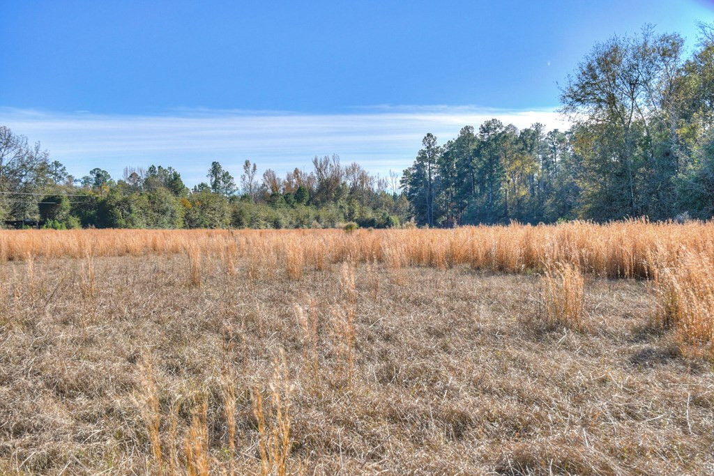 1140 Bennock Mill Road Augusta, GA 30906 - Photo 3 of 31