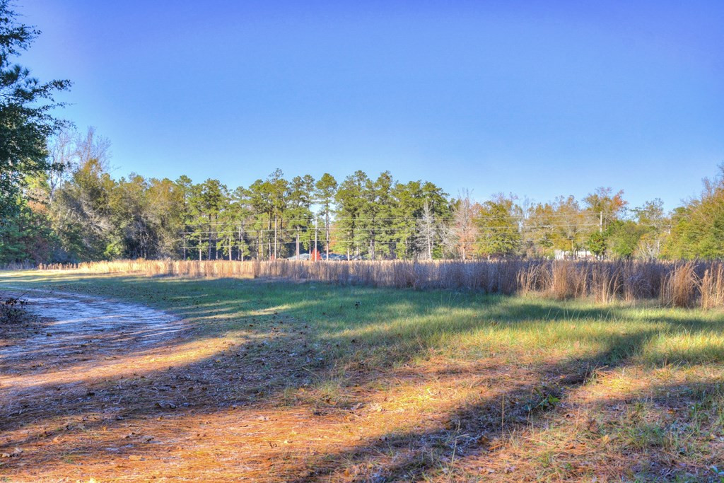 1140 Bennock Mill Road Augusta, GA 30906 - Photo 6 of 31