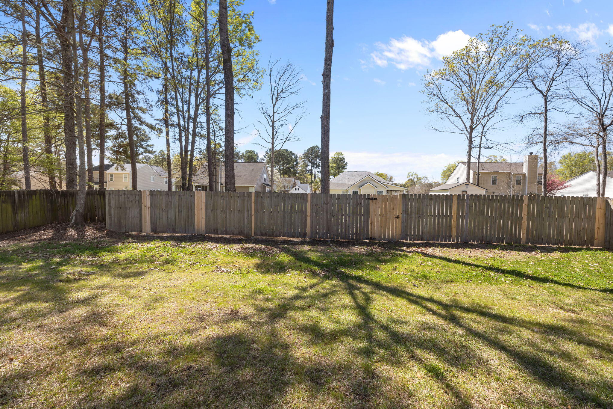 154 Chatfield Circle Goose Creek, SC 29445 - Photo 20 of 30 Backyard