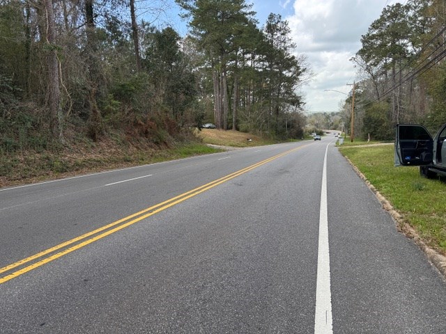 0 Davis Street Elba, AL 36323 - Photo 5 of 14
