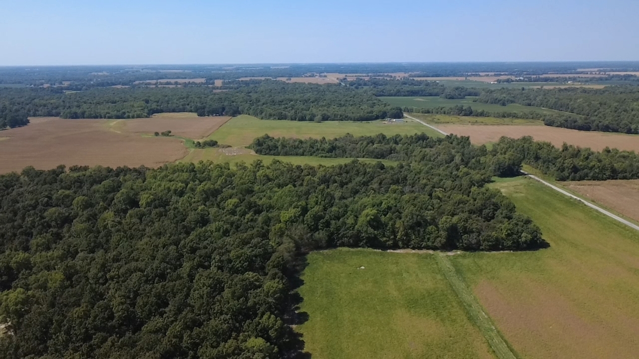 0 East Stagecoach Road Mount Vernon, IL 62864 - Photo 2 of 4 Gallery Image 2