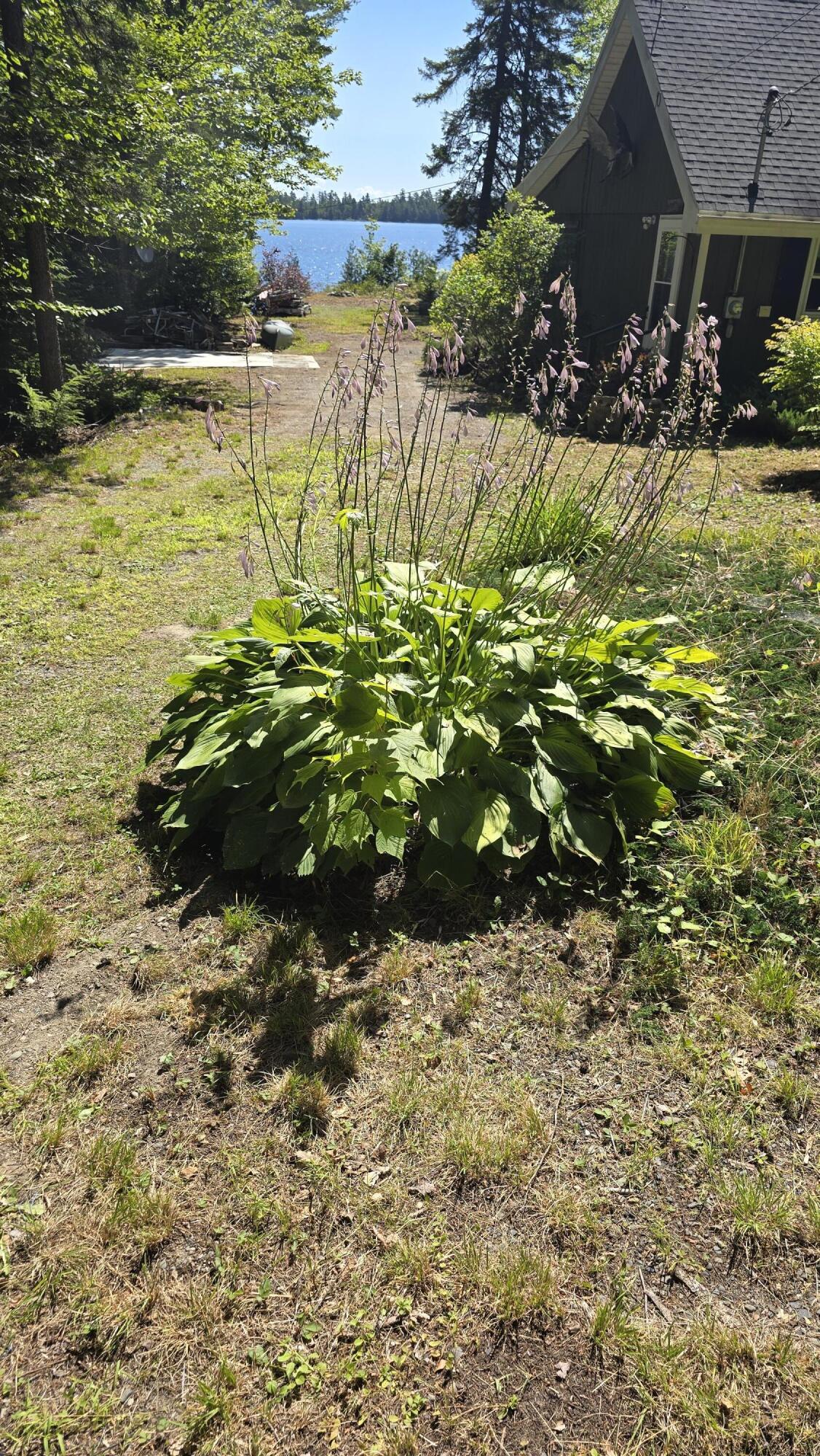 140 Cedar Lake Road Millinocket, ME 04462 - Photo 14 of 48 20250806_103838