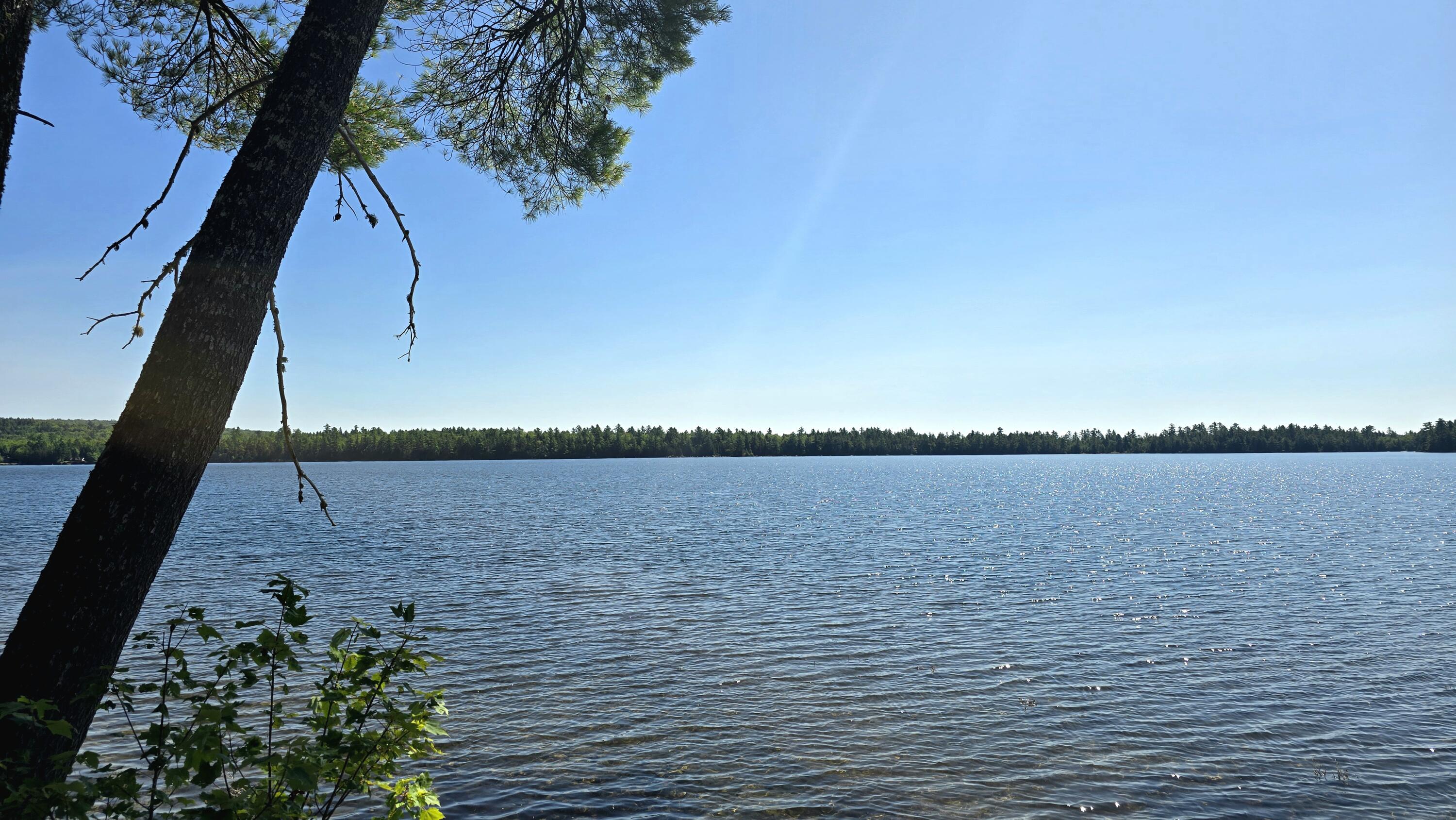 140 Cedar Lake Road Millinocket, ME 04462 - Photo 20 of 48 20250806_102106(0)