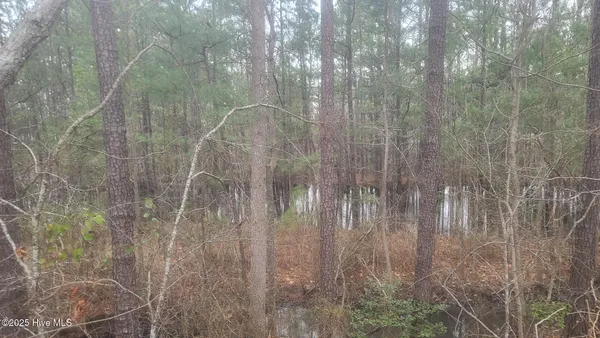 $205,000 | Tbd Union Church Road, Carthage, NC 28327