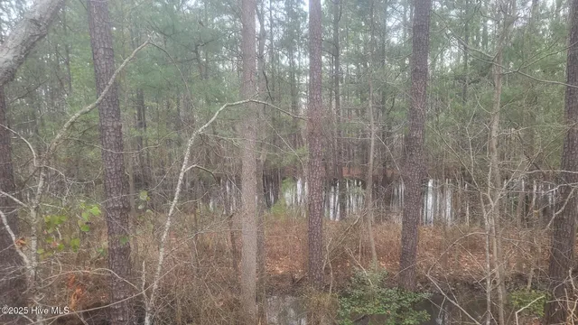 $205,000 | Tbd Union Church Road, Carthage, NC 28327