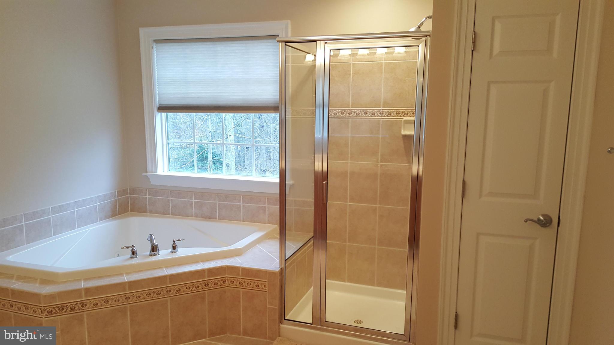 6746 St Pauls Road King George, VA 22485 - Photo 13 of 28 Bath (Master)
