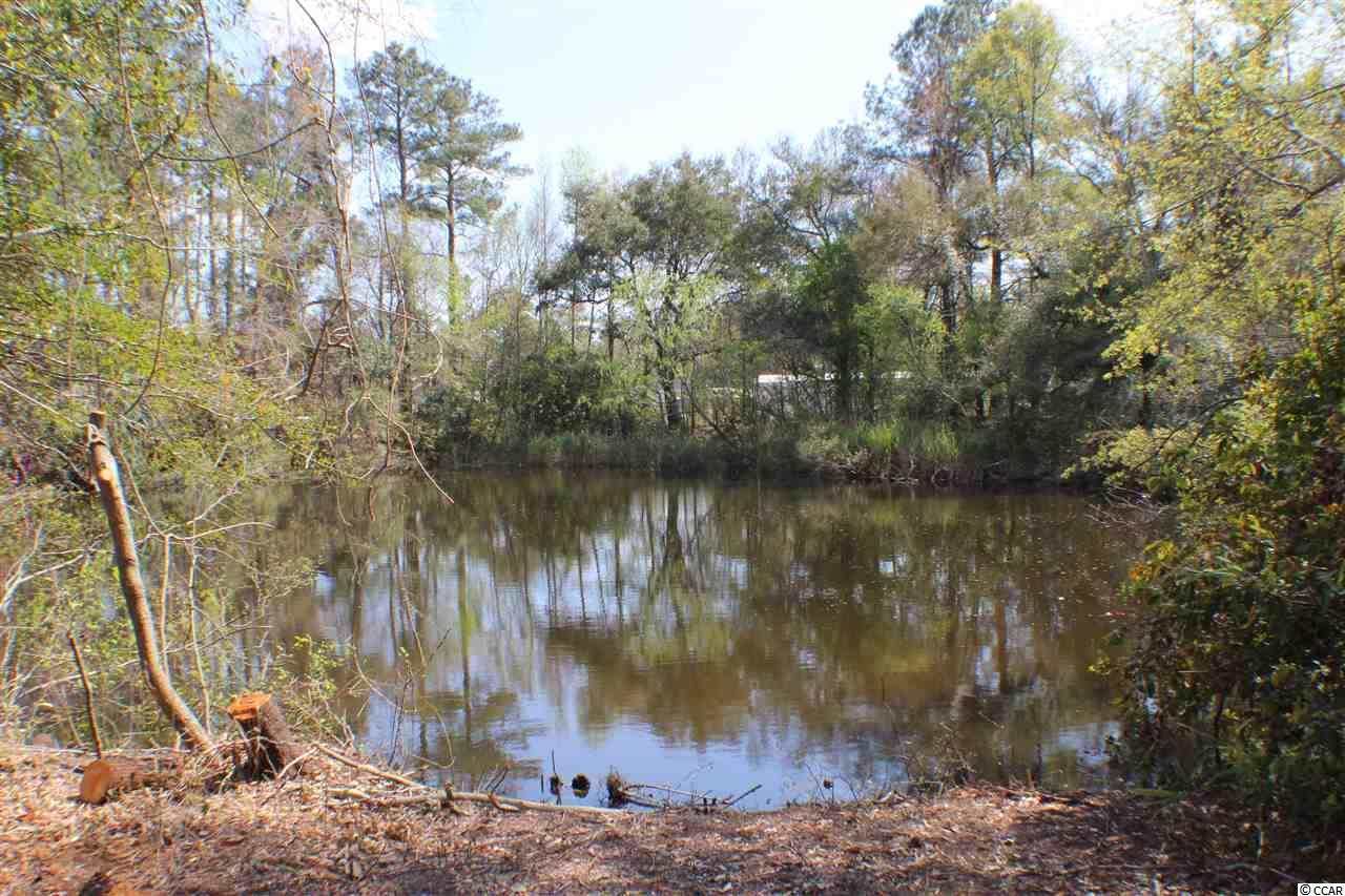 2618 South Island Road Georgetown, SC 29440 - Photo 22 of 24
