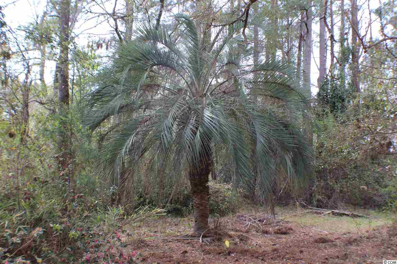 2618 South Island Road Georgetown, SC 29440 - Photo 23 of 24