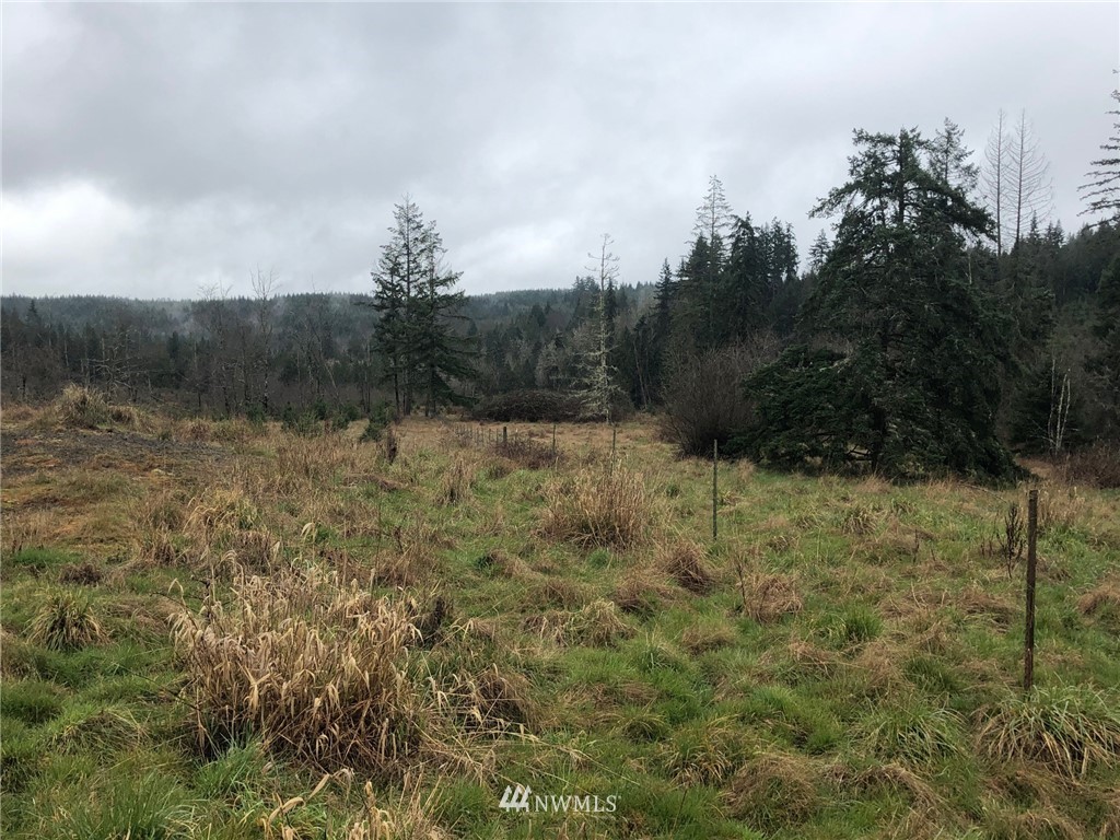 2518 Seminary Hill Road Centralia, WA 98531 - Photo 3 of 5 Gallery Image 3