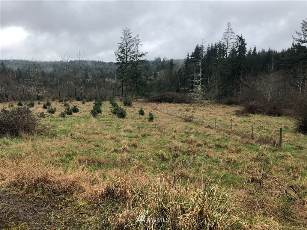 2518 Seminary Hill Road Centralia, WA 98531 - Photo 4 of 5 Gallery Image 4