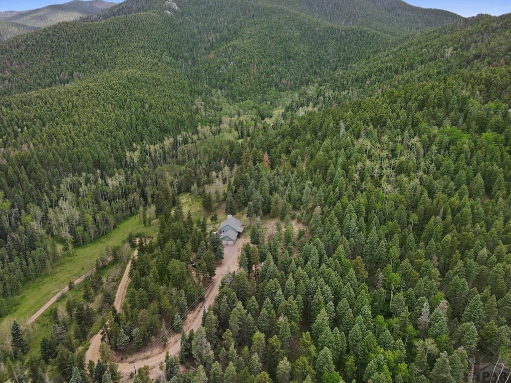 13595 Hwy 165w Rye Co 81069 Rye, CO 81069 - Photo 24 of 38