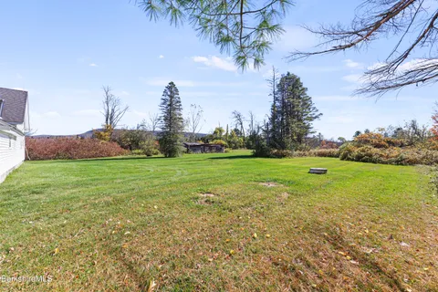 a view of a backyard with plants and large trees