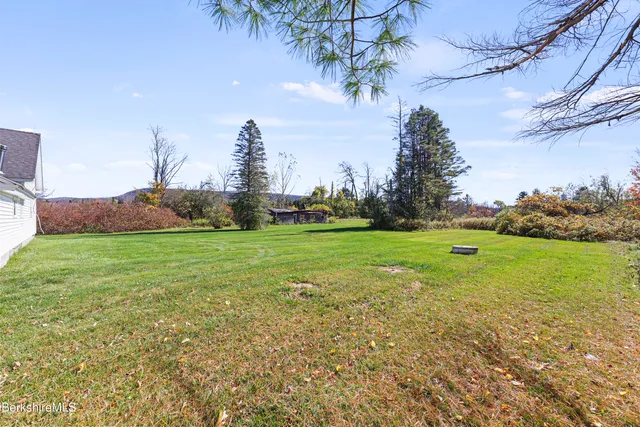 a view of a backyard with plants and large trees