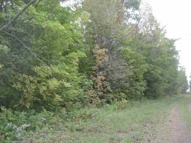 Tbd Conhartoski Road Hurley, WI 54534 - Photo 11 of 12 Gallery Image 11