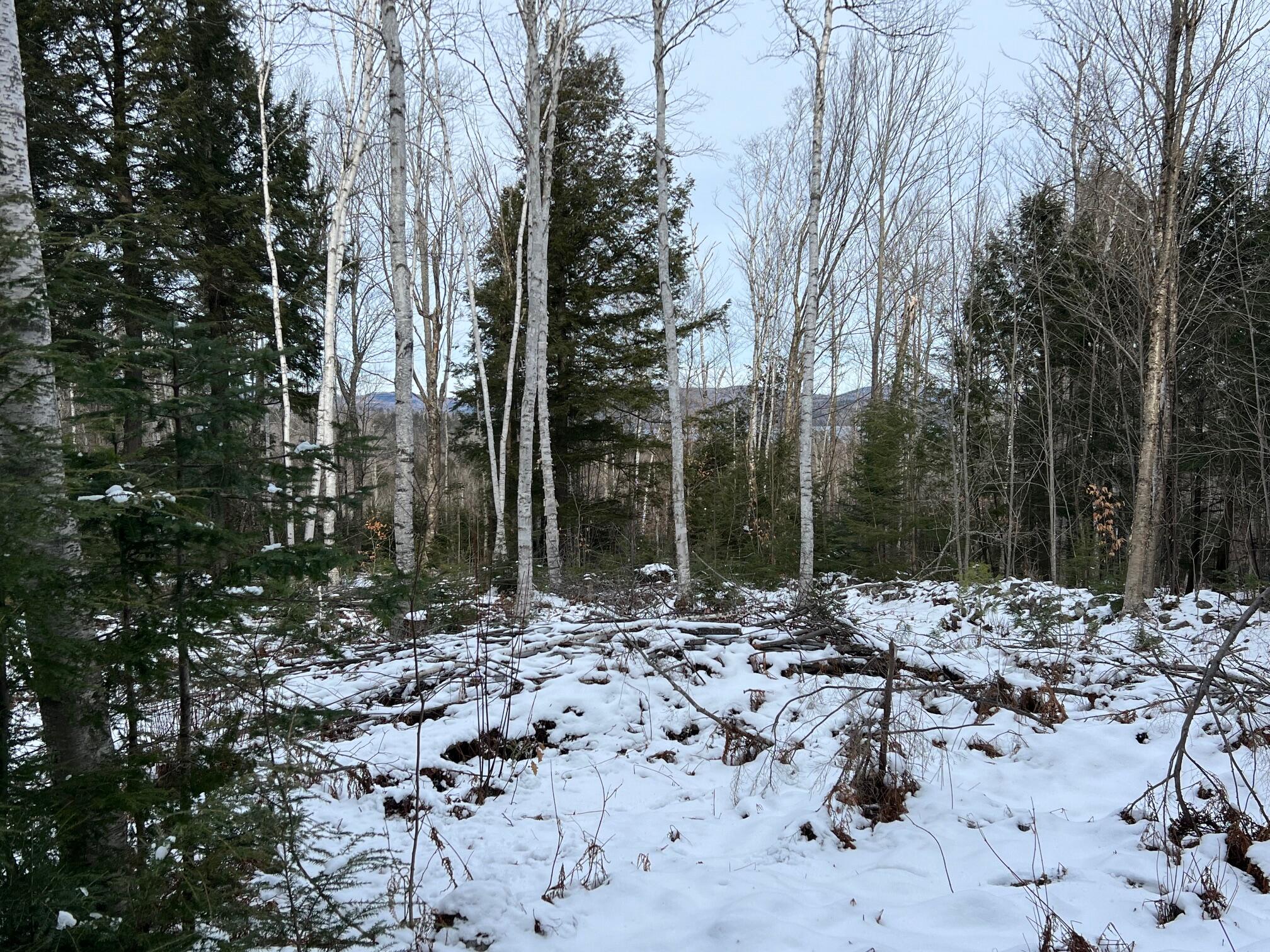 7 Map Road Embden, ME 04958 - Photo 10 of 18 10