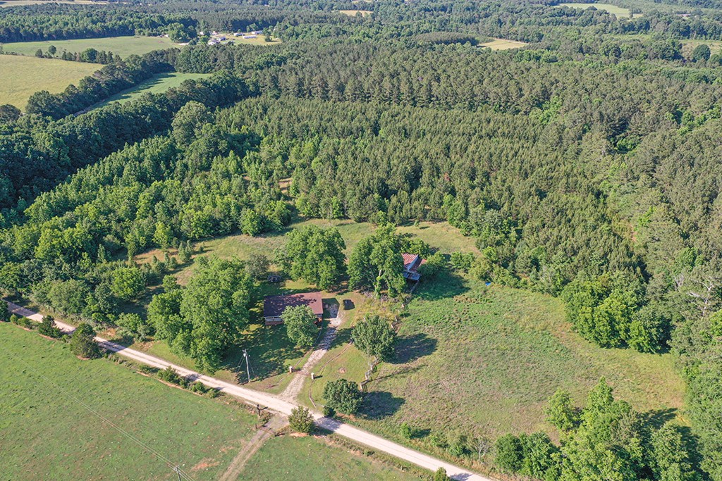 216 Palmetto Forge Road Saluda, SC 29138 - Photo 18 of 21