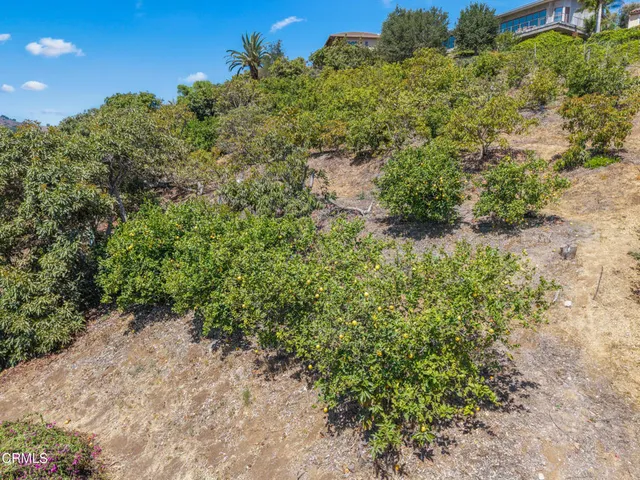 a view of yard with wooden fence