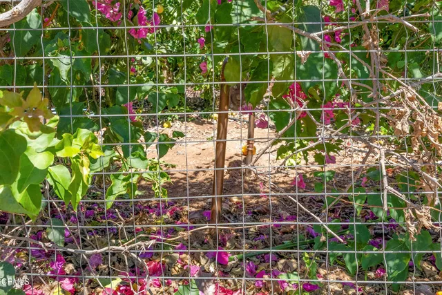 $299,000 | 0 View Drive, Santa Paula, CA 93060