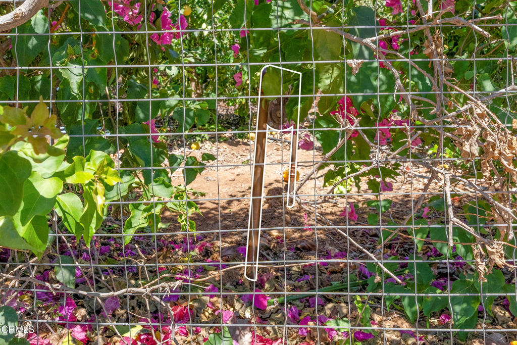 0 View Drive Santa Paula, CA 93060 - Photo 15 of 16 a view of a room with racks on the wall