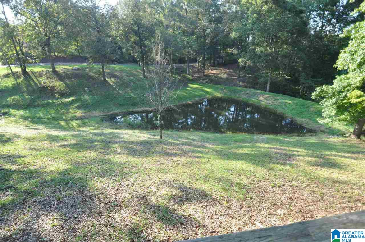 9385 Page Road Trafford, AL 35172 - Photo 5 of 20
