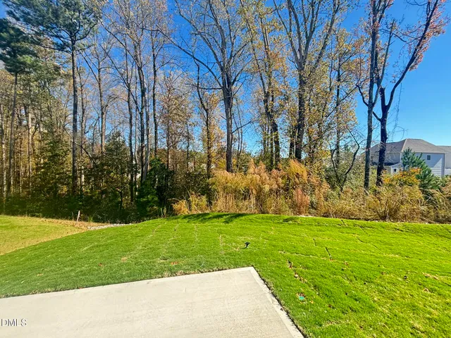a view of yard with trees