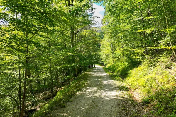 $53,000 | 2-66 Goshawk Drive, Plymouth, VT 05056