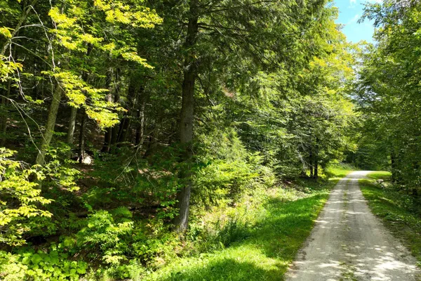 $53,000 | 2-66 Goshawk Drive, Plymouth, VT 05056